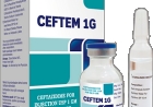 SEFTEM - Ceftem