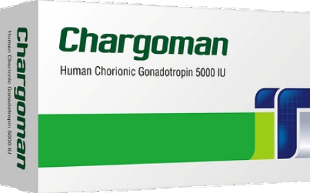 Xarqoman (Chargoman)