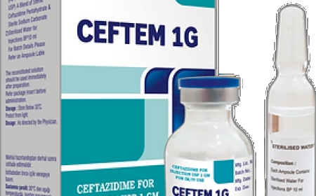 SEFTEM - Ceftem