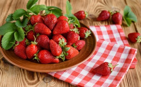 Çiyələk yetişdirmə texnikası və çiyələyin faydaları