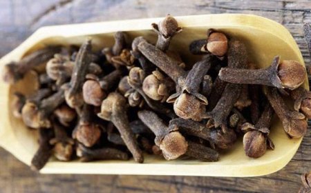 Mixək bu xəstəliklərin dərmanıdır