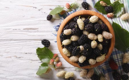 Gündə bir porsiya tut yeyin