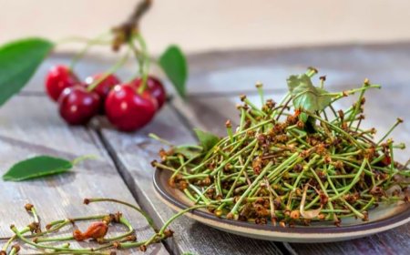 Albalı sapı ilə artıq çəkidən və xəstəlikdən  azad ol