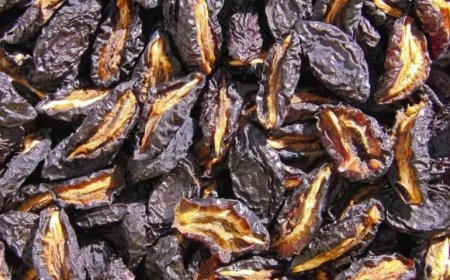 Gavalı qurusunun faydaları