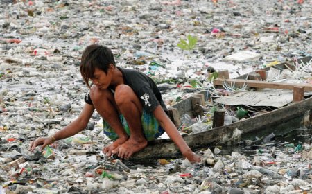 Dünyada plastik tullantıların böyük hissəsinin səbəbkarı olan 5 şirkət (SİYAHI)