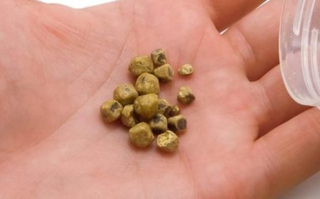 Çox ac qalmaq öddə daş əmələ gətirir