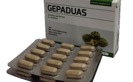 GEPADUAS