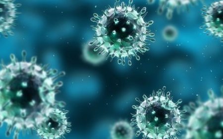 Adenovirus infeksiyası nədir? Necə yayılır?