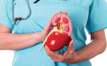 Böyrək daşı müalicəsi necə aparılır