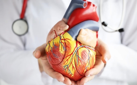 Ürək xəstəlikləri haqqında doğru bildiyimiz səhv düşüncələr