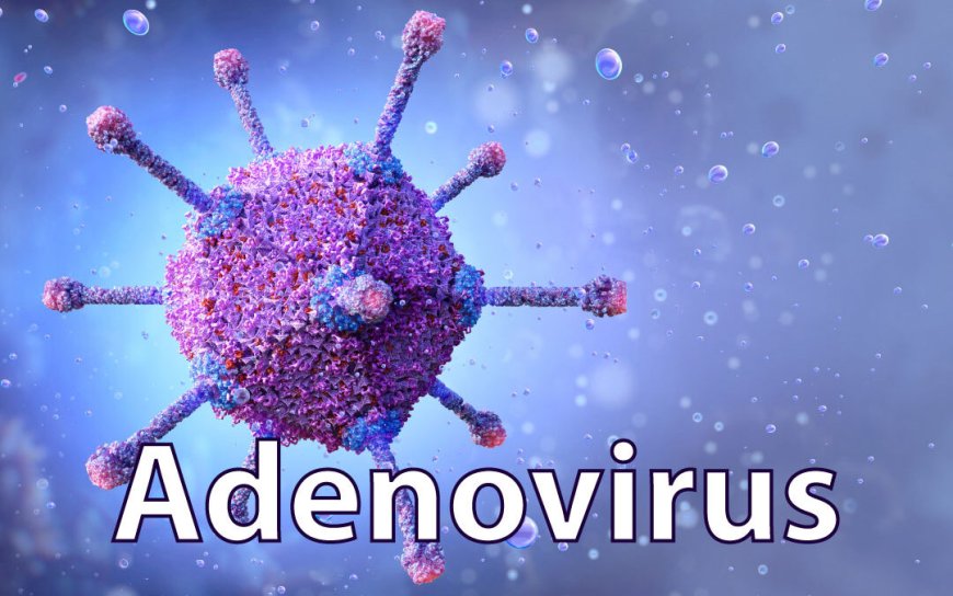 Adenovirus infeksiyasi şəkli