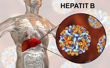Hepatit B nədir?