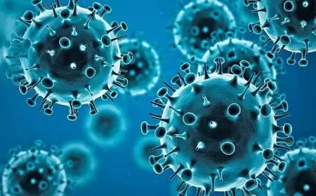 Covid bəlası dünyada yenidən alovlanır?