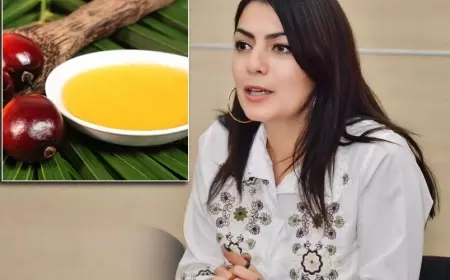 Azərbaycanda zərərli palma yağlarının istifadəsi nəyə görə bu qədər artıb?