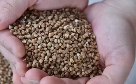 Xaricilər niyə qarabaşaq yemirlər? – SƏBƏB