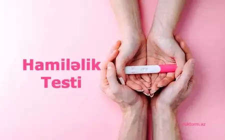 Hamiləlik testi