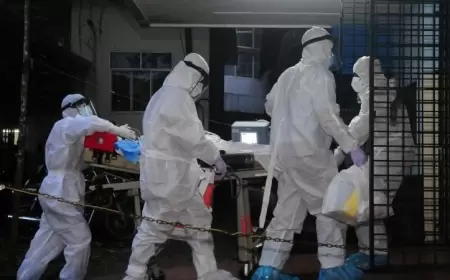 Hindistanda Nipah virusu xəbərdarlığı: 14 yaşlı uşaq öldü