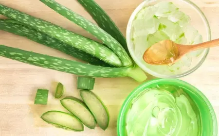 Aloe bitkisinin 50-dən çox xəstəlikləri müalicə etdiyini bilirdinizmi?