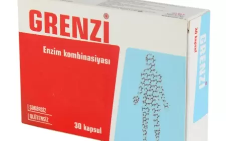 Grenzi nə üçündür?