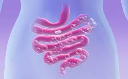 Köpdən əziyyət çəkənlər üçün - QADAĞA SİYAHISI