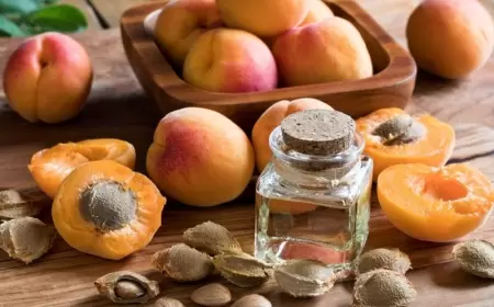 Çox faydalı olan ərik tumu sizi komaya sala bilər