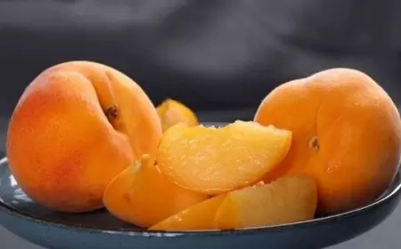 Ən güclü antioksidant mənbəyi: Ürəyi gücləndirir, bağırsaqları təmizləyir