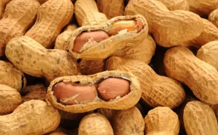 Yer fındığının arıqlamağa faydaları