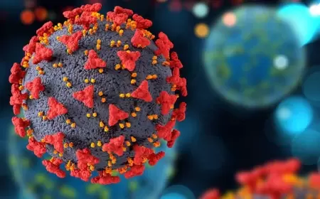 Rota Virus nədir? Rota Virusun əlamətləri, diaqnozu və müalicəsi