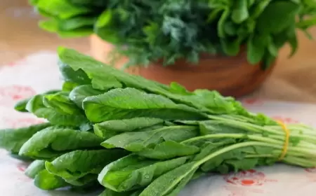 Çibanı sağaldır, öskürəyi kəsir - Vəzərinin faydaları