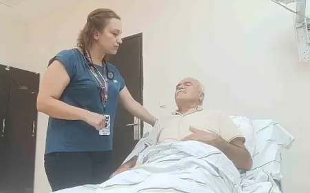 Göbələk faciəsi: 3 ailənin üzvləri xəstəxanalıq oldu