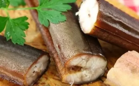 130 nəfər ilan balığından zəhərləndi: 1 nəfər öldü