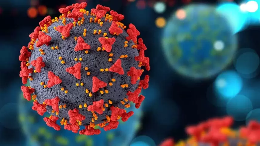 Rota Virus nədir? Rota Virusun əlamətləri, diaqnozu və müalicəsi