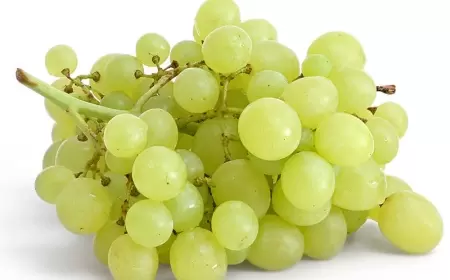 Yaşıl üzümün inanılmaz faydaları