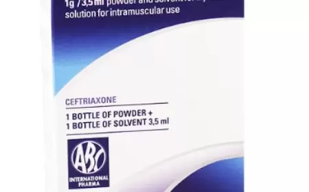 Abitraks ( Abitrax ) 1 q