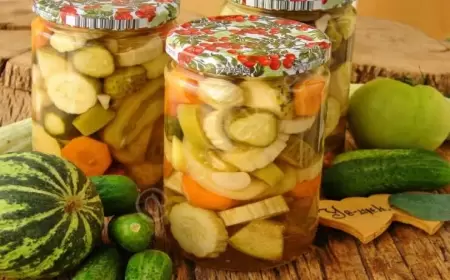 Konservləşdirilmiş məhsullar insan orqanizminə necə təsir edir?