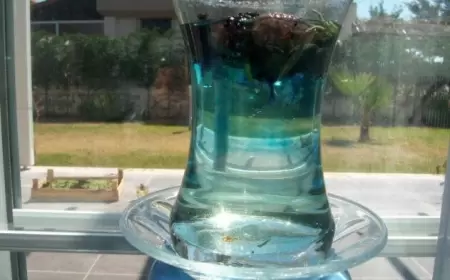 Artıq heç kim siqaret çəkmiyəcək - Bu unikal reseptin bir qurtumu belə, onu tərgitməyə kifayyətdir