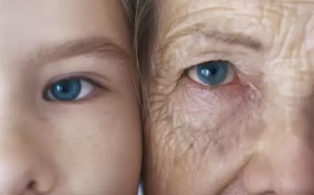 Yaşlılar üçün ən yaxşı şirniyyat: sümükləri gücləndirir, qan təzyiqini aşağı salır