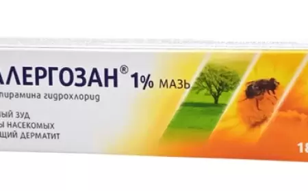 Allerqozan maz haqqında məlumat