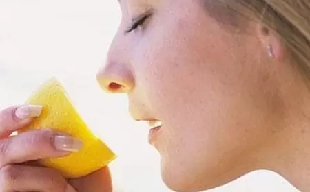 Üstünə duz səpilmiş limonu otağa qoyun - həyatınız dəyişəcək