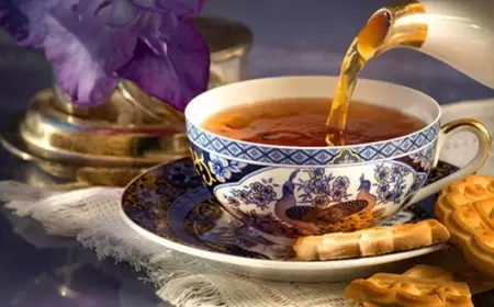 Qanı tər-təmiz edən təbii çay