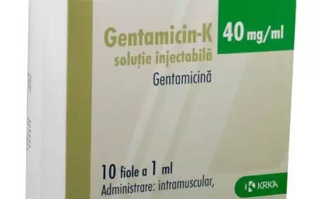 Gentamisin-K 40 mq nə üçündür?