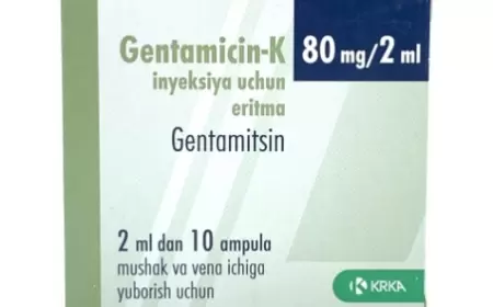 Gentamisin-K 80 mq