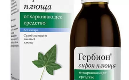 Herbion daş sarmaşığı siropu nə üçündür? istifadə qaydası necədir?