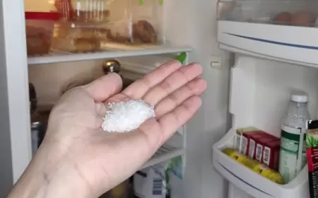 Soyuducuya duz qoyun: böyük problemdən xilas olun