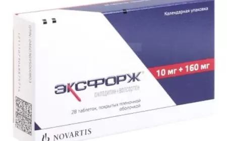 Eksforj 10/160 mq nə üçündür? istifadə qaydası necədir?