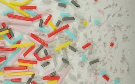 Beyindəki mikroplastiklər təhlükəli xəstəliklərə səbəb ola bilər