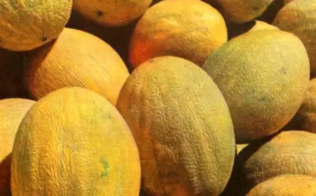 Yemişi bu qidalarla birlikdə yeməyin