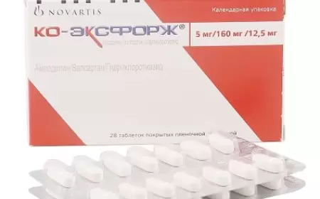 Eksforj H 5/160/12.5 mq N28 nə üçündür?