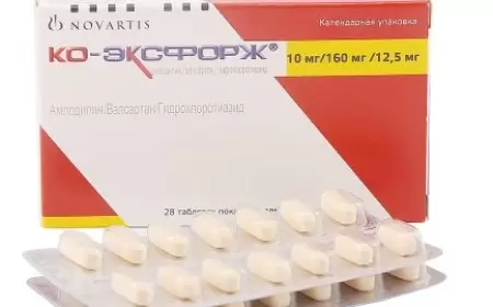 Eksforj H 10/160/12.5 mq haqqında məlumat