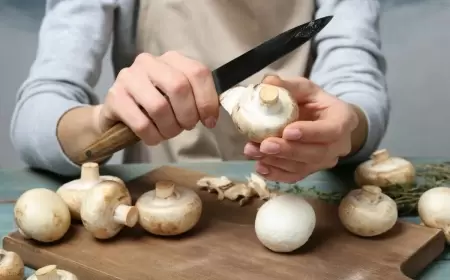 Göbələkləri belə saxlayın - Aylarla təzə qalacaq